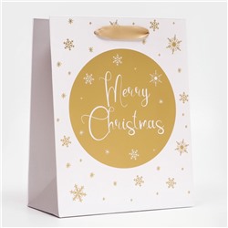 Пакет подарочный новогодний ламинированный «Золотые снежинки»,18×23×10 см