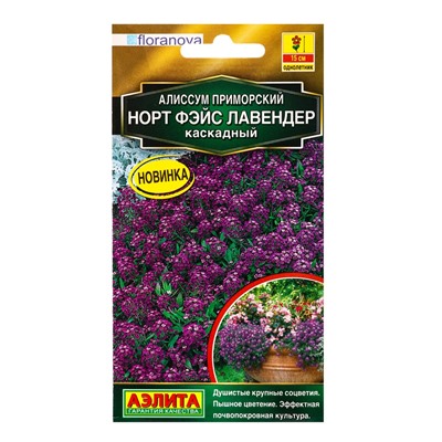 Семена цветов Алиссум Норт фэйс лавендер каскадный  С. Floranova Золотая серия, Ц/П,10 шт.