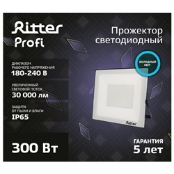 Прожектор светодиодный, серия PROFI, 230 В, 300 Вт, 6500К, 30000 Лм, IP65, чёрный