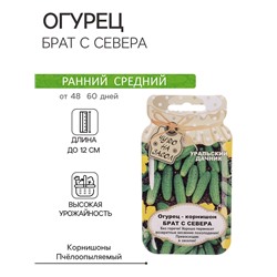 Семена огурца "Брат с Севера", 10 шт.