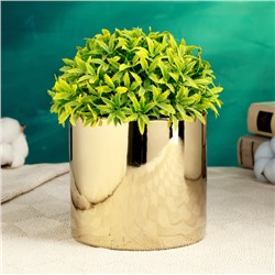 Горшок для цветов «Лайт», d=12 см, h=11 см, керамика, золотистое