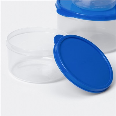 Набор контейнеров для хранения еды Доляна, 3 шт. 150 мл, 300 мл, 500 мл, прозрачные, крышка синяя