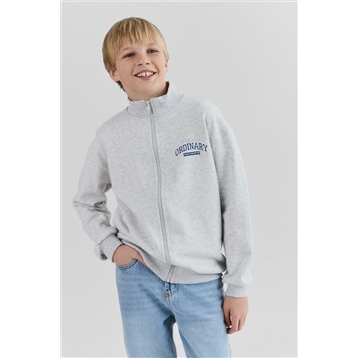 Толстовка для мальчиков MARK FORMELLE, 1234427