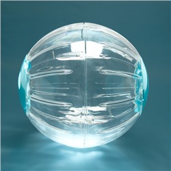 Шар для грызунов Carno, 18.5 см, синий