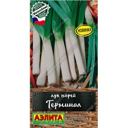 0568A Лук порей Терминал 1 г