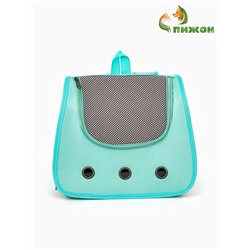 Рюкзак-переноска для животных, 35×30×26 см, голубой