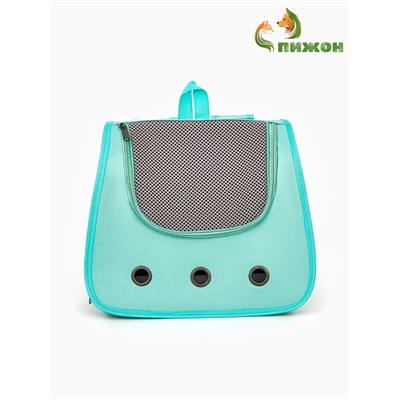 Рюкзак-переноска для животных, 35×30×26 см, голубой