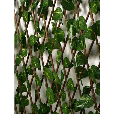 Ограждение декоративное, 200×75 см, «Лист берёзы», Greengo