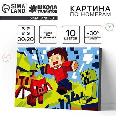 Картина по номерам для детей на холсте с подрамником «Город будущего», 20×30 см