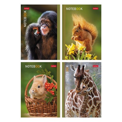 Блокнот А6 24л клетка "В мире животных" ассорти (091011) Хатбер