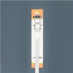 Ошейник со стразами в 4 ряда и стразы на пряжке, 38×1.5 см, ОШ 26-33, белый