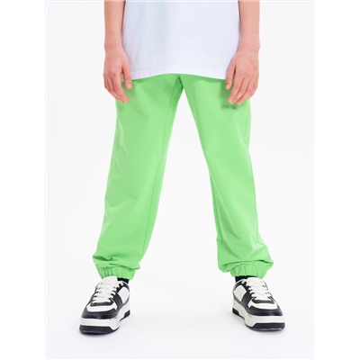 PELICAN Брюки BFPQ3321U