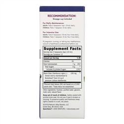 Nature's Way, Sambucus, стандартизированный экстракт бузины, оригинальный сироп, 120 мл (4 жидк. унции)