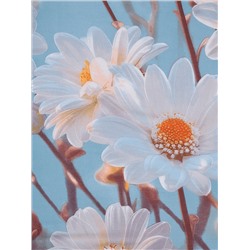 Простыня бязь люкс - Ромашки