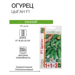 Семена Огурец "Цыган F1", серия 1+1, 20 шт