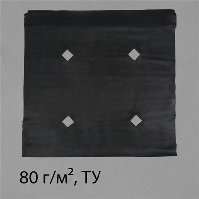 Материал мульчирующий, с перфорацией, 5×1.6 м, плотность 80 г/м², спанбонд с УФ-стабилизатором, чёрный, Greengo, Эконом 30%