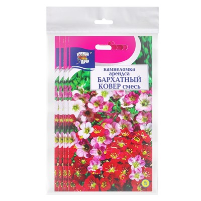 Набор семян Камнеломка "Бархатный ковер", 5 шт.