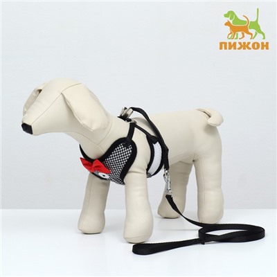 Комплект с мягкой шлейкой и бантиком, размер S, поводок 120×1.5 см, ОГ 23-42 см, серый