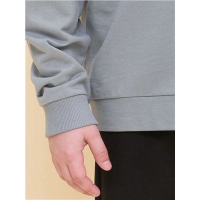 PELICAN Толстовка BFNS7025U