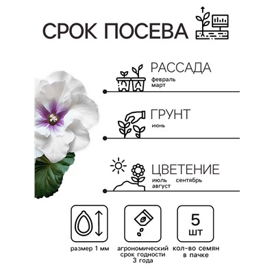 Семена комнатных цветов Глоксиния Аванти «Светло-фиолетовая», F1, «Гавриш», 4 шт.