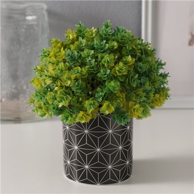 Вазон керамика «Лучи» 200 мл 7.3×7.3×7.3 см