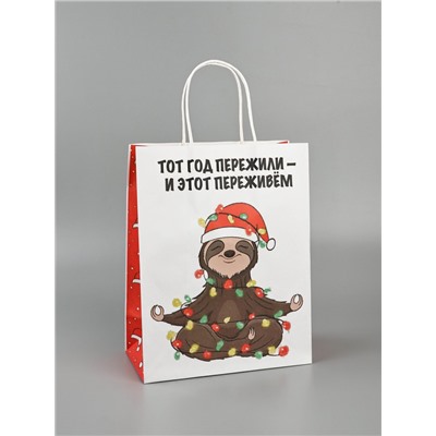 Пакет бумажный подарочный новогодний крафт, «Тот год пережили и этот переживем», 27×21×11 см