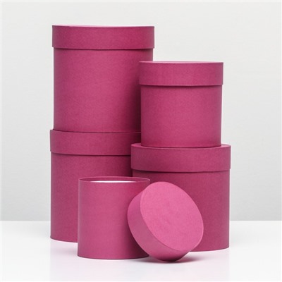 Набор шляпных подарочных коробок 5 в 1 «Фуксия однотонный»,20×20×20‒11×11×11 см