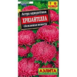 1997A Астра Хризантелла сбежавшая невеста 15шт