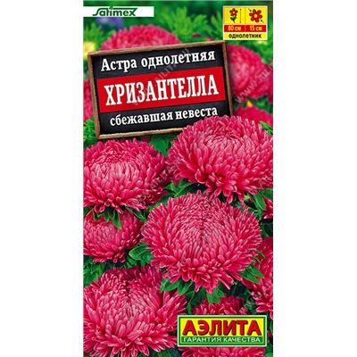 1997A Астра Хризантелла сбежавшая невеста 15шт