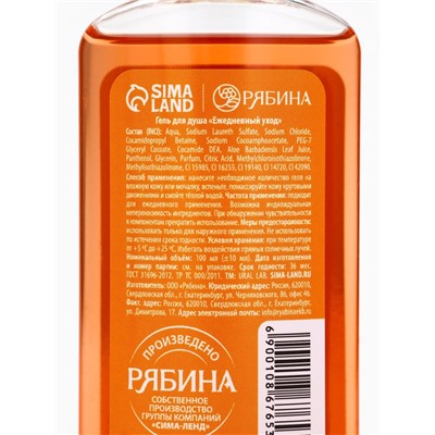 Новогодний подарочный набор косметики: гель для душа 100 мл и бомбочка для ванны 100 г, аромат имбирное печенье, URAL LAB