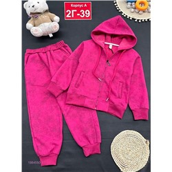 костюм с начесом 1984550-1