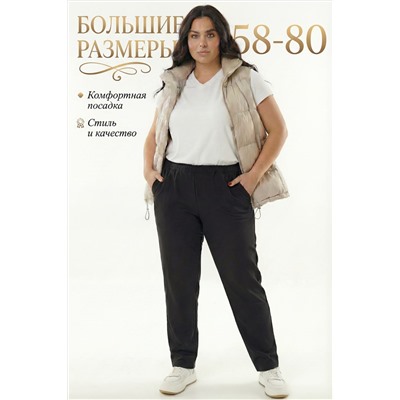 Брюки 14536 НАТАЛИ, 1231535