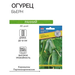 Семена Огурец «Бьерн», F1, 5 шт., «Престиж семена»