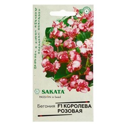 Семена цветов Бегония "Королева розовая", ц/п,  F1, вечноцветущая, серия Саката,  4 шт