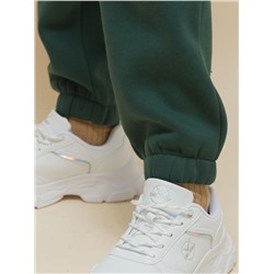 PELICAN Брюки UFPQ3323