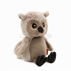 Сова Life Соня 20