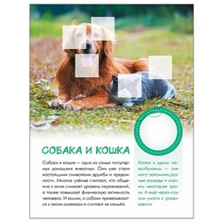 Мир животных с наклейками. Кто живёт в деревне?