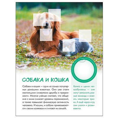 Мир животных с наклейками. Кто живёт в деревне?