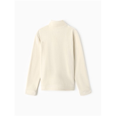 Джемпер флисовый мужской MINAKU: Fleece Soft, размер 44, бежевый