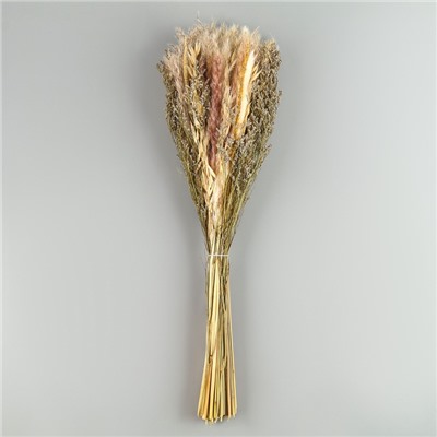 Букет из сухоцветов «Мечта», набор из 85 шт., высота 47 см