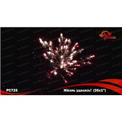 Фейерверк РС7240 Жизнь удалась! (1" х 36)