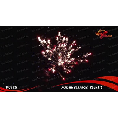Фейерверк РС7240 Жизнь удалась! (1" х 36)
