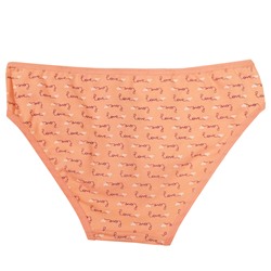 7938 Трусы д/девочек многоцвет (BAYKAR)