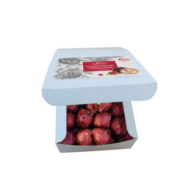 Кедровый грильяж в шоколадной глазури с Клюквой / 500 гр / ТМ Сам бы ел