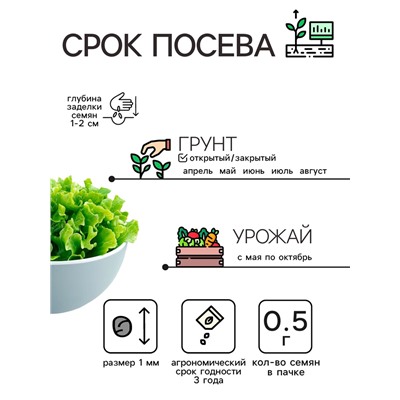 Семена Салат «Кучерявец Одесский», 0.5 г, «Рецепты дедушки Никиты»