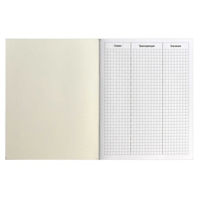 Тетрадь-словарик для записи иностр. слов А5+ 48л "КРЯКАЮЩИЕ УТКИ" клетка 69367 Феникс