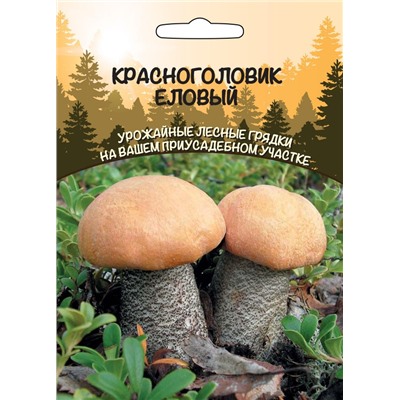 Гриб Красноголовик Еловый Ур.Дачник