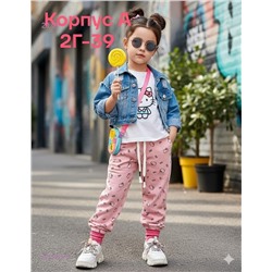 штаны 2053615-5