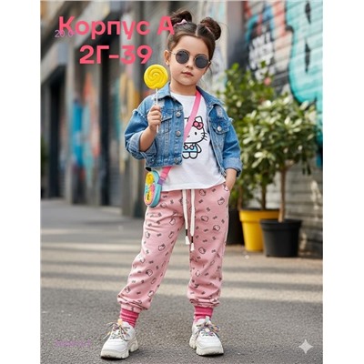 штаны 2053615-5