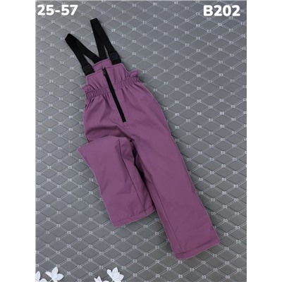 Брюки B202 сирень